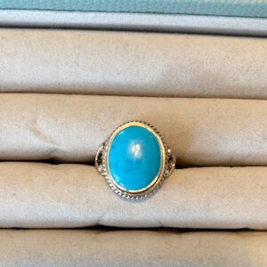 Elegant Turquoise and Silver Ring